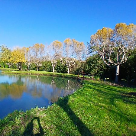 Domaine Du Lac De La Vallee La Roquette-sur-Siagne Exteriör bild
