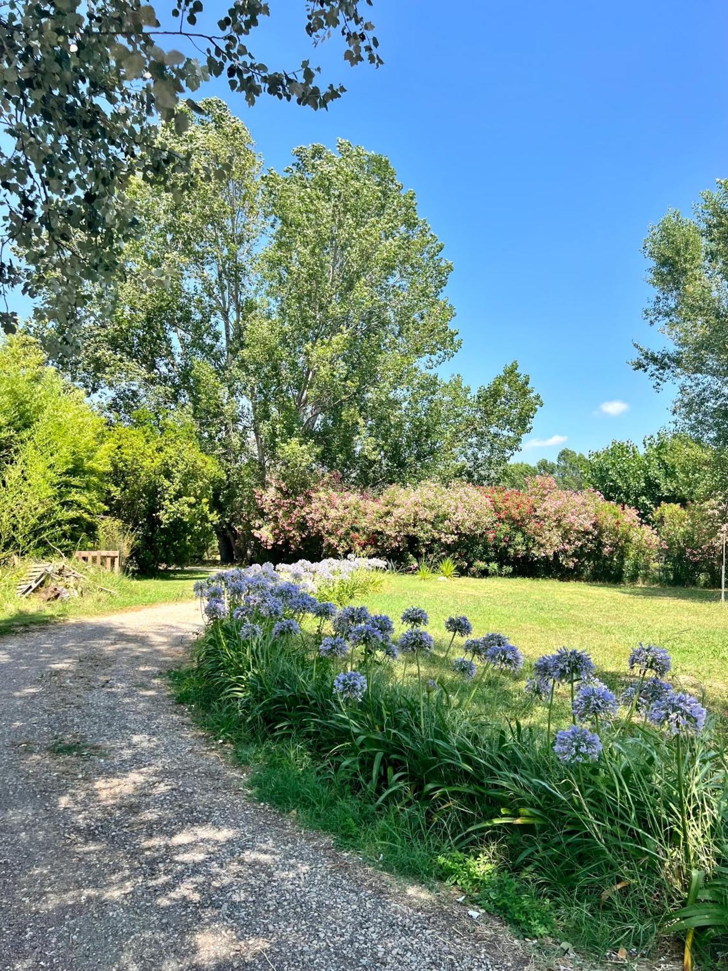 Domaine Du Lac De La Vallee La Roquette-sur-Siagne Exteriör bild